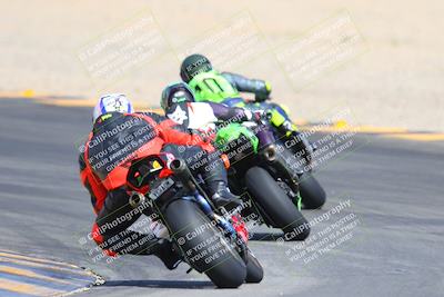 media/Mar-10-2024-SoCal Trackdays (Sun) [[6228d7c590]]/9-Turn 8 Backside (1150am)/